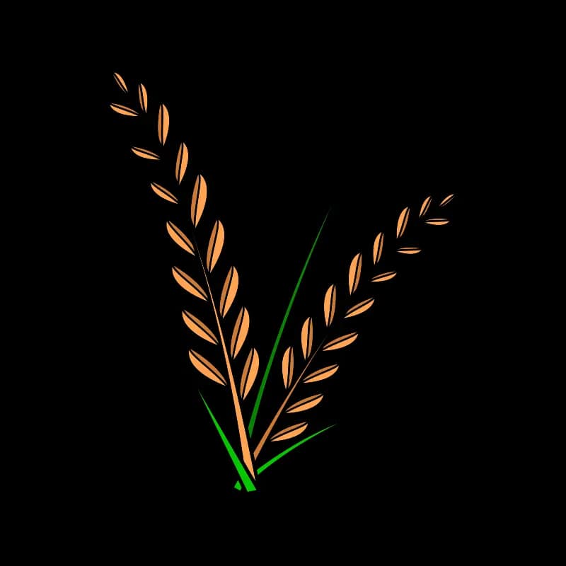 first image ofAgrowtik